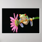 Roter mit Augen Baumfrosch Poster (Vorne)
