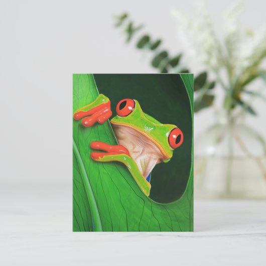 Roter Mit Augen Baumfrosch Postkarte (Stehend Vorderseite)