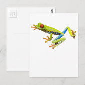 Roter mit Augen Baumfrosch Postkarte (Vorne/Hinten)