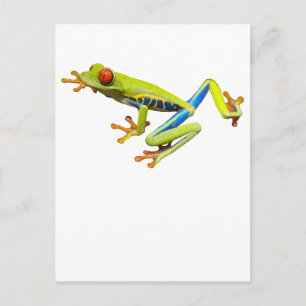 Roter mit Augen Baumfrosch Postkarte