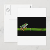 Roter mit Augen Baumfrosch Postkarte (Vorne/Hinten)