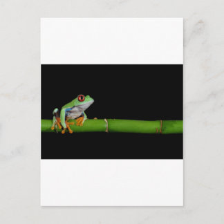 Roter mit Augen Baumfrosch Postkarte