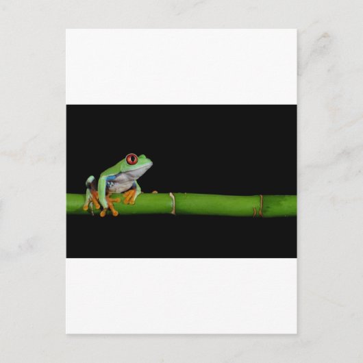 Roter mit Augen Baumfrosch Postkarte (Vorderseite)