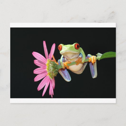 roter mit Augen Baumfrosch Postkarte (Vorderseite)