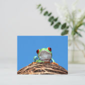 Roter mit Augen Baumfrosch Postkarte (Stehend Vorderseite)