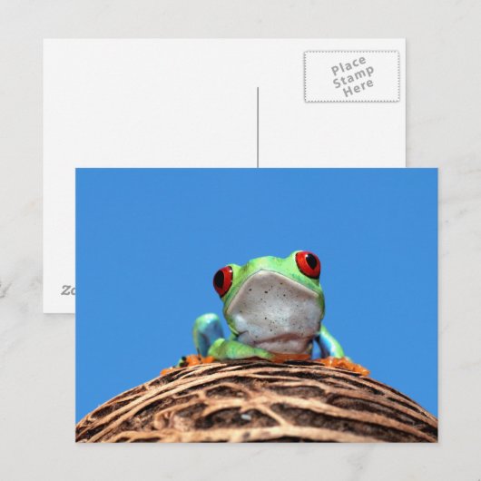 Roter mit Augen Baumfrosch Postkarte (Vorne/Hinten)