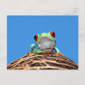 Roter mit Augen Baumfrosch Postkarte (Vorderseite)