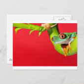 Roter mit Augen Baumfrosch Postkarte (Vorne/Hinten)