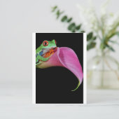 Roter mit Augen Baumfrosch Postkarte (Stehend Vorderseite)