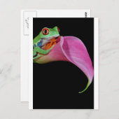 Roter mit Augen Baumfrosch Postkarte (Vorne/Hinten)