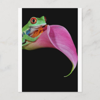 Roter mit Augen Baumfrosch Postkarte