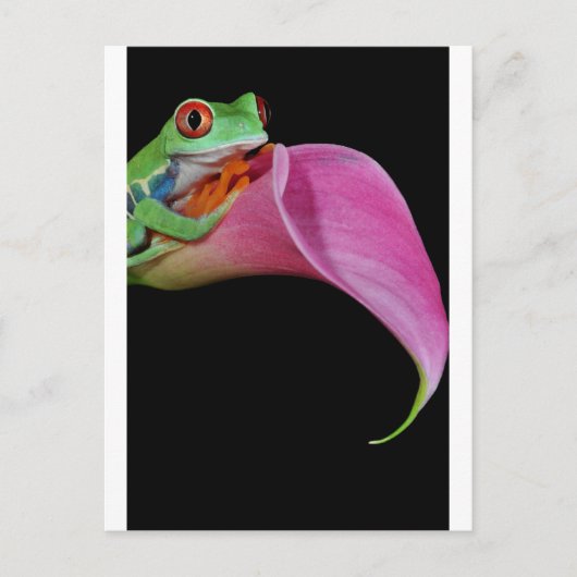 Roter mit Augen Baumfrosch Postkarte (Vorderseite)