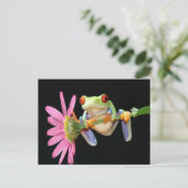Roter mit Augen Baumfrosch Postkarte (Stehend Vorderseite)