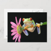 Roter mit Augen Baumfrosch Postkarte (Vorne/Hinten)