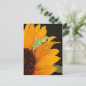 Roter mit Augen Baumfrosch Postkarte (Stehend Vorderseite)