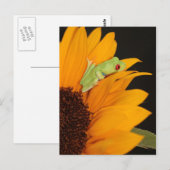 Roter mit Augen Baumfrosch Postkarte (Vorne/Hinten)