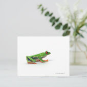 Roter mit Augen Baumfrosch Postkarte (Stehend Vorderseite)