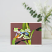 Roter mit Augen Baumfrosch Postkarte (Stehend Vorderseite)