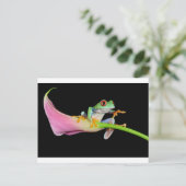 Roter mit Augen Baumfrosch Postkarte (Stehend Vorderseite)