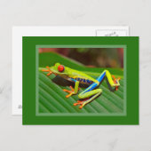 Roter Mit Augen Baumfrosch Postkarte (Vorne/Hinten)