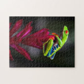 Roter mit Augen Baumfrosch Puzzle (Horizontal)