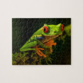 Roter Mit Augen Baumfrosch Puzzle (Horizontal)