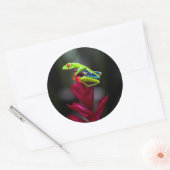 Roter mit Augen Baumfrosch Runder Aufkleber (Umschlag)