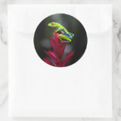 Roter mit Augen Baumfrosch Runder Aufkleber (Tasche)