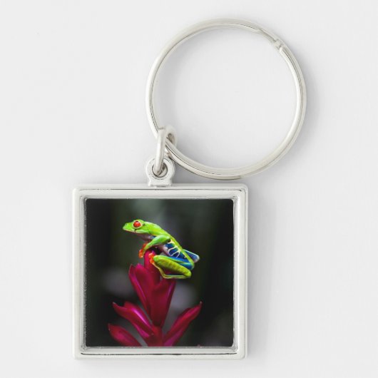 Roter mit Augen Baumfrosch Schlüsselanhänger (Vorne)