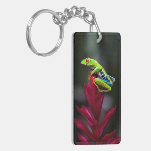 Roter mit Augen Baumfrosch Schlüsselanhänger (Vorderseite links)