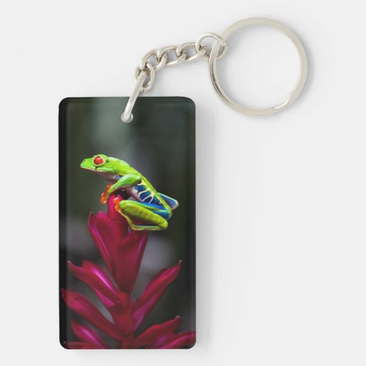 Roter mit Augen Baumfrosch Schlüsselanhänger (Rückseite)