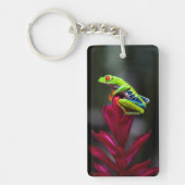 Roter mit Augen Baumfrosch Schlüsselanhänger (Vorderseite)