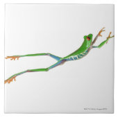 Roter mit Augen Baumfrosch springt Fliese (Vorderseite)