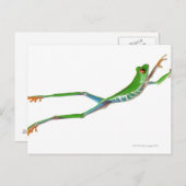 Roter mit Augen Baumfrosch springt Postkarte (Vorne/Hinten)