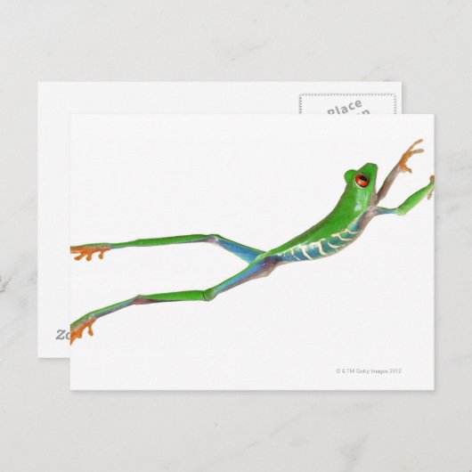 Roter mit Augen Baumfrosch springt Postkarte (Vorne/Hinten)