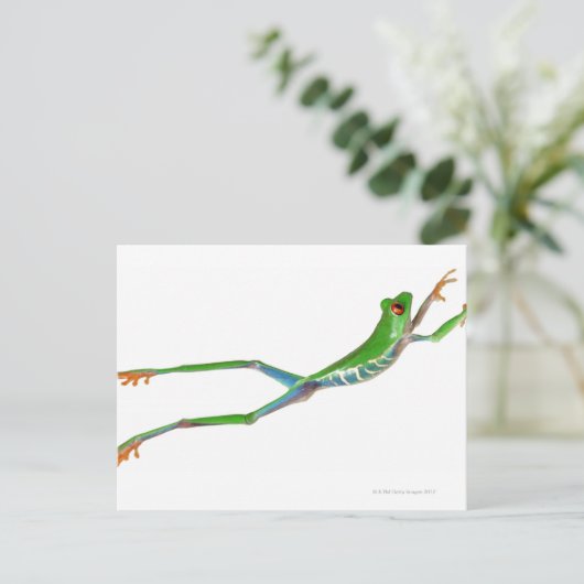 Roter mit Augen Baumfrosch springt Postkarte (Stehend Vorderseite)