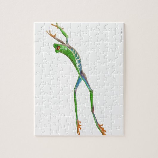 Roter mit Augen Baumfrosch springt Puzzle (Vertikal)