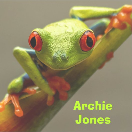 Roter Mit Augen Frosch Blick auf Ihr Foto Personal Aufkleber (Vorderseite)