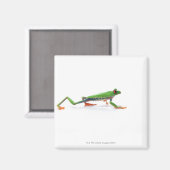 Roter mit Augen Frosch Magnet (Vorderseite/Rückseite)