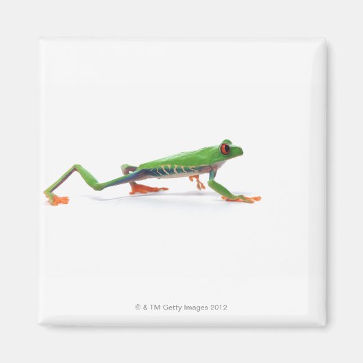 Roter mit Augen Frosch Magnet (Vorne)