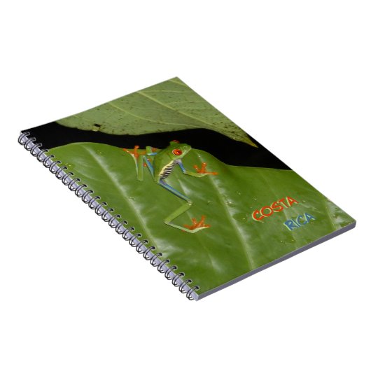 Roter Mit Augen Gaudy Froschkruste. Textheft Notizblock (Rechte Seite)