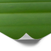 Roter Mit Augen Grünbaumfrosch Poster (Ecke)