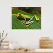 Roter Mit Augen Grünbaumfrosch Poster (Küche)