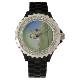 Roter mit Augen Tre Frosch, der von hinten ein Armbanduhr