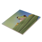 Roter mit Augen Tre Frosch, der von hinten ein Fliese (Seite)