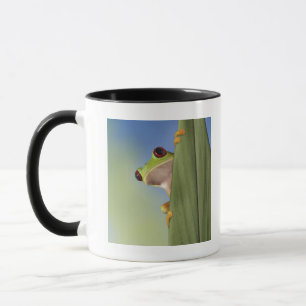 Roter mit Augen Tre Frosch, der von hinten ein Tasse