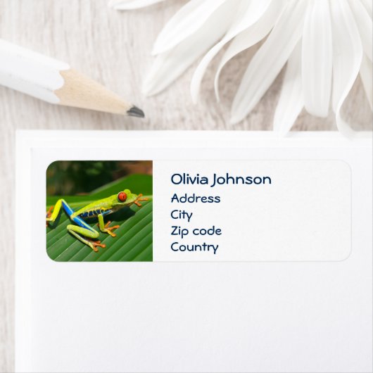 Roter mit Augen tropischer Regenwaldfrosch (Insitu)