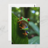 Roter mit Augen Wald in Monteverde Cloud Forest Postkarte (Vorne/Hinten)