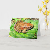 Roter mit Beinen versehener Nordfrosch Karte (Gelbe Blume)
