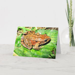 Roter mit Beinen versehener Nordfrosch Karte